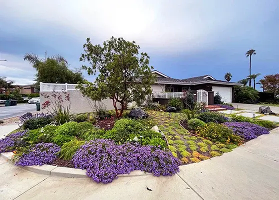 Post-renovation landscape displaying the success of our landscaping vision