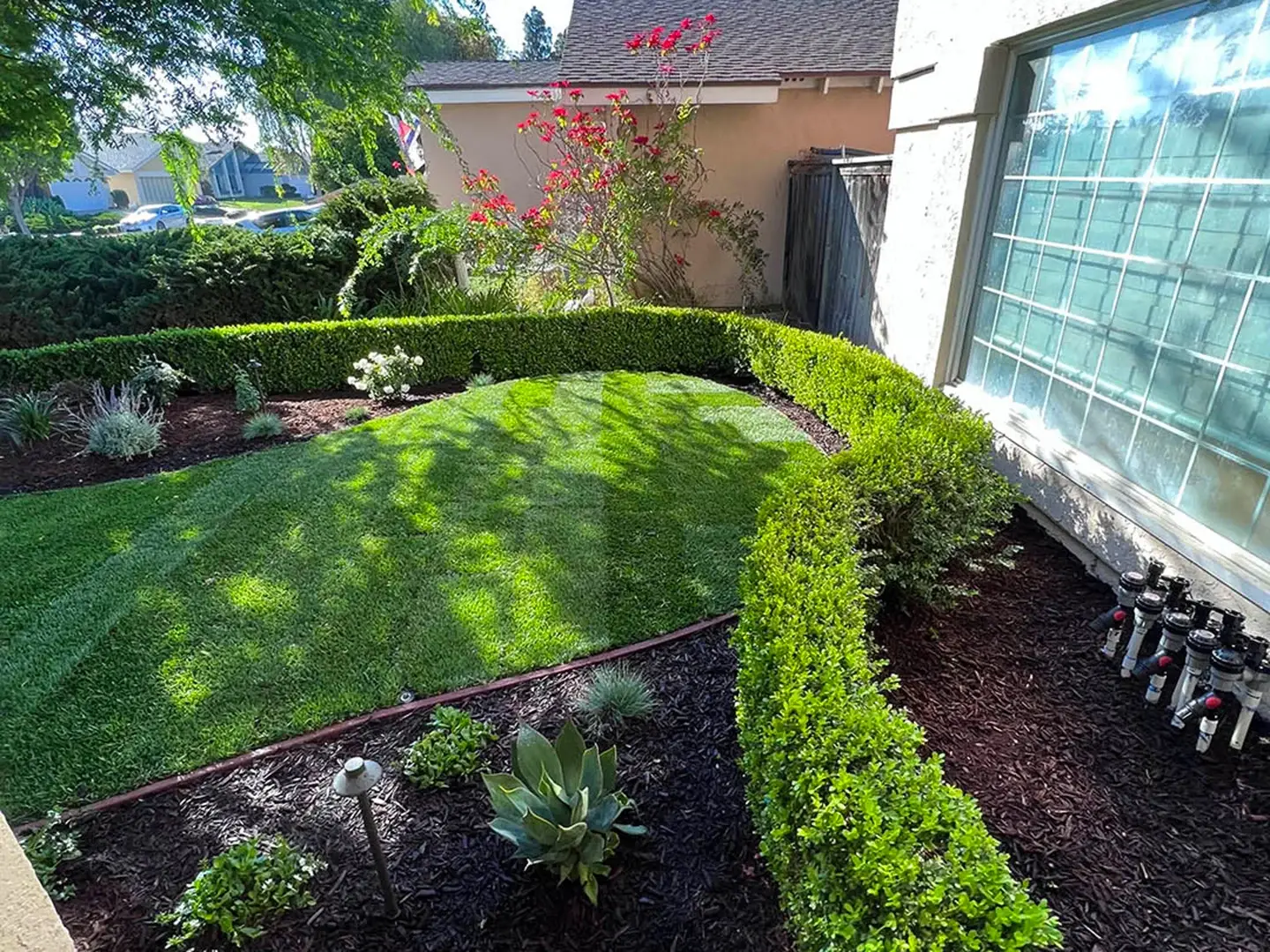 Outdoor oasis boasting a lush lawn and vibrant foliage